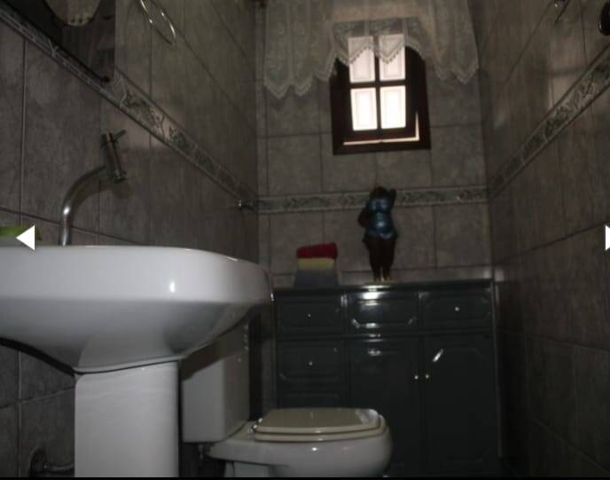 Casa, 3 quartos, 263 m² - Foto 23