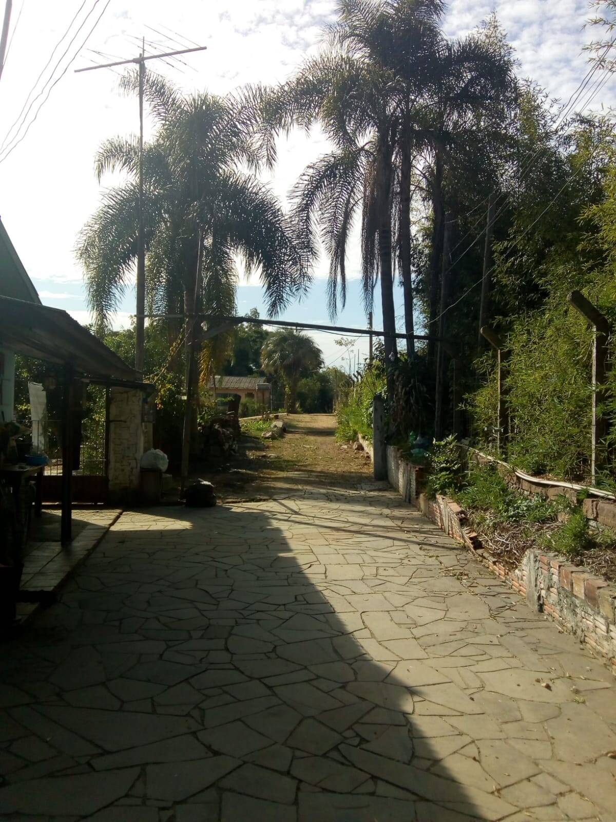 Terreno, 1 hectares - Foto 7