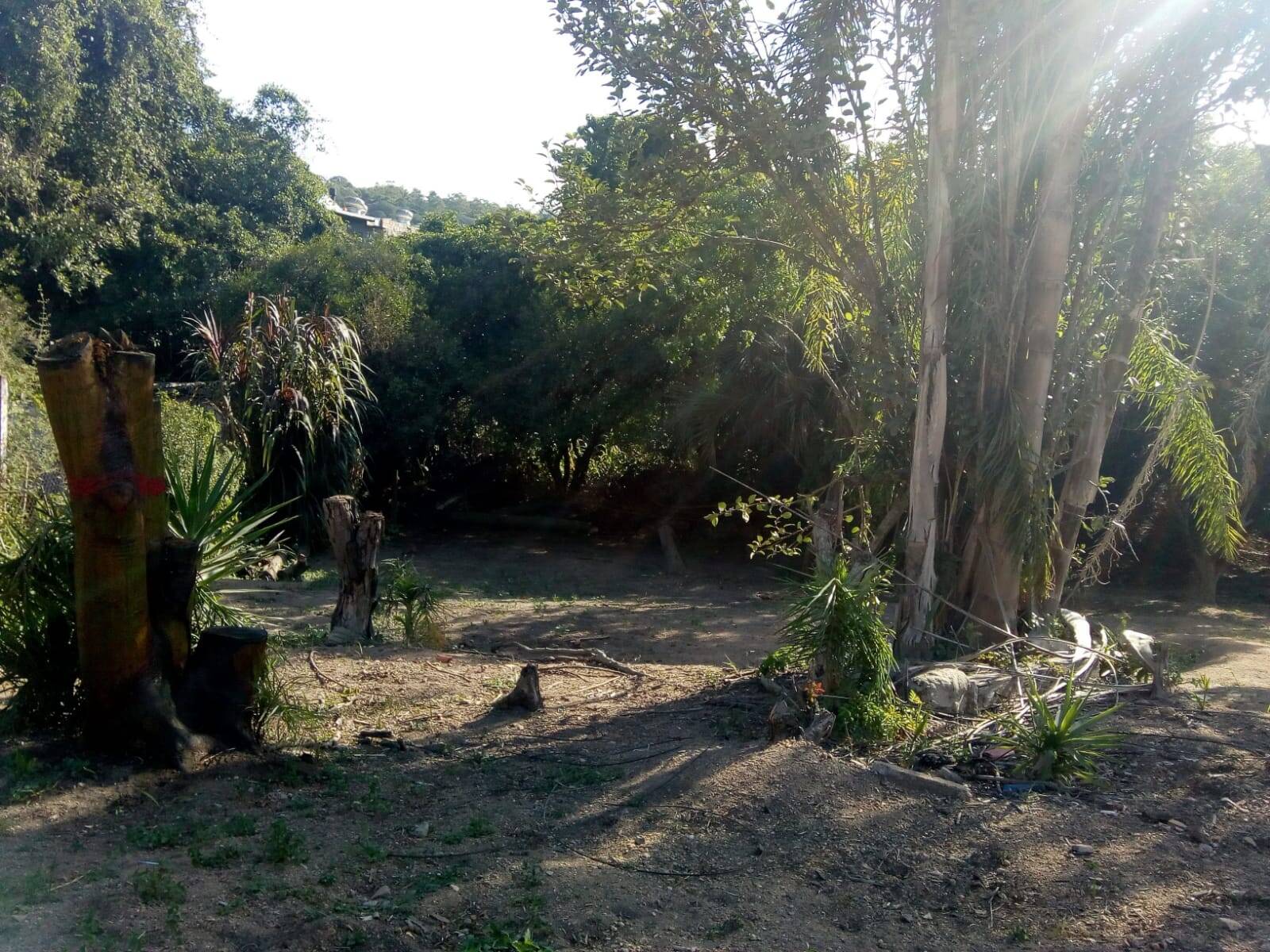 Terreno, 1 hectares - Foto 9