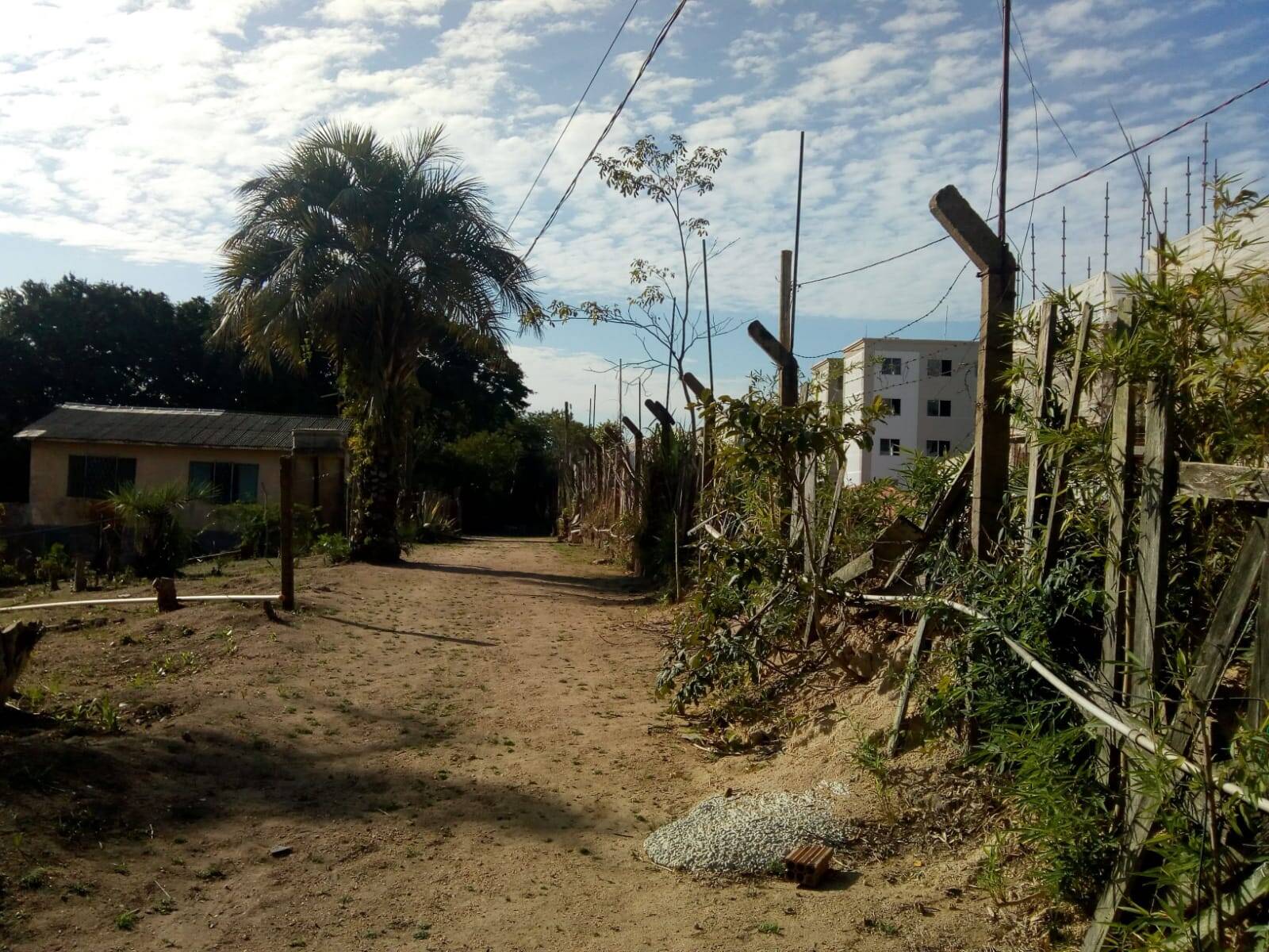 Terreno, 1 hectares - Foto 10