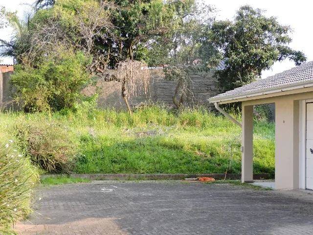 Casa, 5 quartos, 600 m² - Foto 12