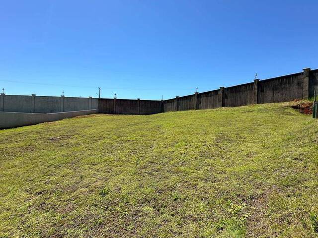 #232 - Área para Venda em Gravataí - RS - 1